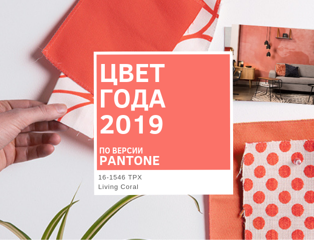 Цвет 2019 года по версии Pantone